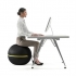Technogym Wellness Ball 55 cm for active sitting  TECHNOBALL55